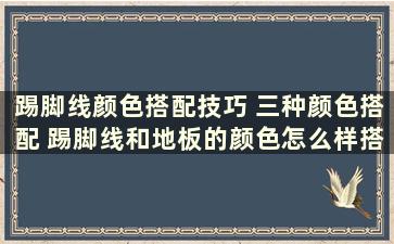 踢脚线颜色搭配技巧 三种颜色搭配 踢脚线和地板的颜色怎么样搭配好看